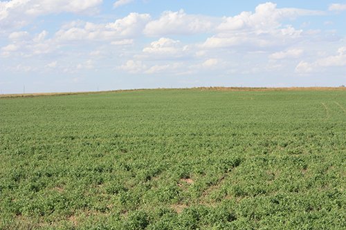Property photo 25 - LAND AUCTION, 3255+/- Acres offered in 13 Tracts